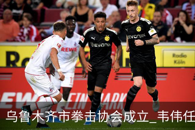 乌鲁木齐市拳击协会成立 韦伟任会长